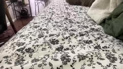 Annabelle online show from February 4, 2026, 12:05 am