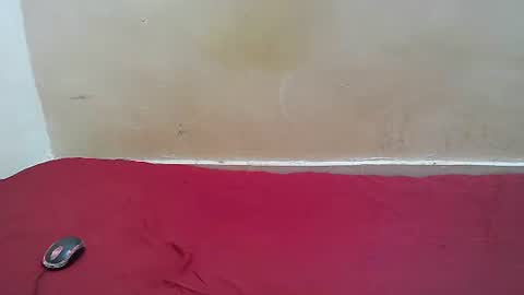 Snapshot of hotpussy1225 chatting on November 10, 2025, 8:13 am hotpussy1225 online show from November 10, 2025, 8:13 am