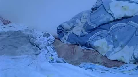 Sexy girl online show from March 14, 2026, 12:17 am