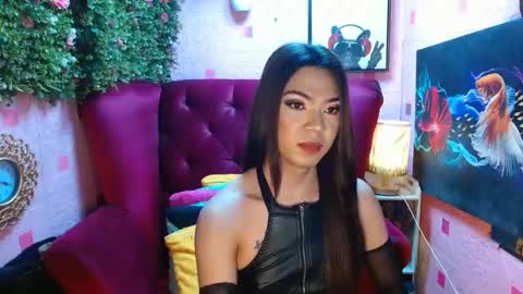 Summer online show from January 14, 2025, 7:53 pm