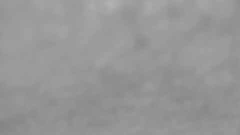 Snapshot of hourg chatting on October 12, 2025, 4:33 am Slutty little female cat online show from October 12, 2025, 4:33 am