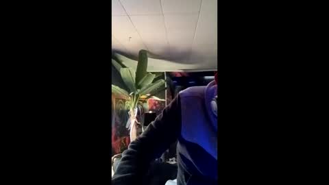 SeanPatrick online show from May 13, 2026, 1:19 pm