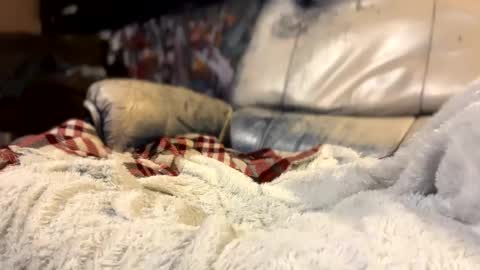 Snapshot of howbowdadareboy33 chatting on October 11, 2025, 3:06 am ask me online show from October 11, 2025, 3:06 am