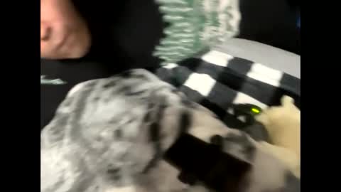 Snapshot of htfsb chatting on February 15, 2026, 1:57 am htfsb online show from February 15, 2026, 1:57 am