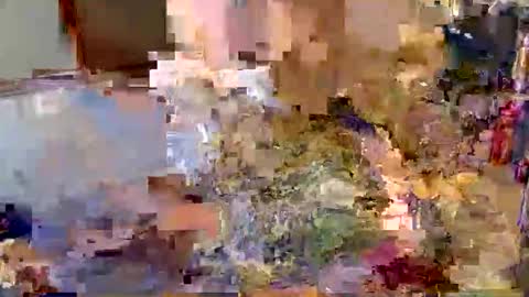hugecock_caramel online show from May 27, 2026, 7:49 am