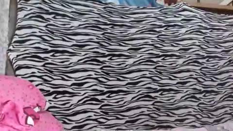 bella    passwordshow 500tokens  no time limit online show from October 19, 2025, 1:56 pm