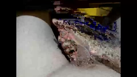 Snapshot of hung_mac0 chatting on February 17, 2026, 2:13 pm hung_mac0 online show from February 17, 2026, 2:13 pm