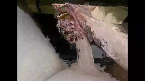 Snapshot of hung_mac0 chatting on April 7, 2026, 5:02 pm hung_mac0 online show from April 7, 2026, 5:02 pm