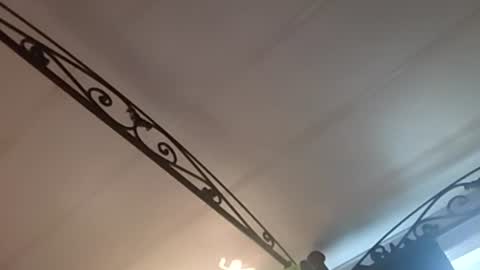 hungryforpussy1234567890 online show from December 16, 2024, 4:16 pm