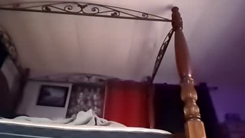 hungryforpussy1234567890 online show from December 21, 2024, 9:12 am