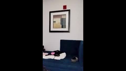 hydrakinglaser online show from February 5, 2026, 2:05 am