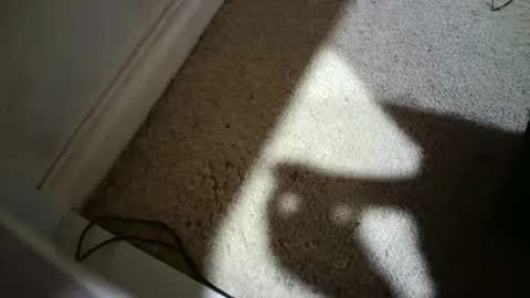 Snapshot of hypeman2323 chatting on February 17, 2026, 7:49 am Hypeman online show from February 17, 2026, 7:49 am