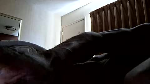 Hypsterical online show from August 5, 2026, 12:41 pm