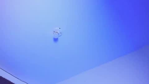 Snapshot of iam_naho chatting on October 1, 2025, 3:12 am NAHO online show from October 1, 2025, 3:12 am