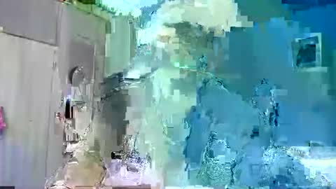 Ian Snake online show from January 17, 2026, 3:33 am