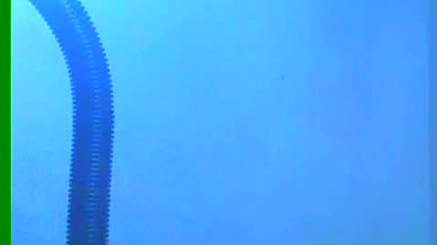 Samuel igsamuelnoguera 1333 online show from December 18, 2024, 10:35 pm