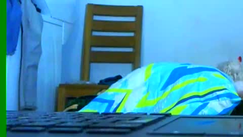 Samuel igsamuelnoguera 1333 online show from January 26, 2025, 3:27 am