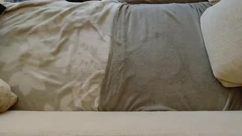 Snapshot of ich_hh chatting on January 24, 2025, 11:04 am SnowTiger online show from January 24, 2025, 11:04 am