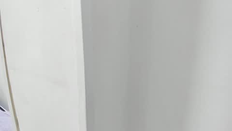 Isabella online show from October 6, 2025, 12:57 pm