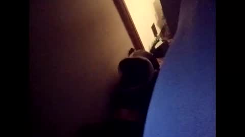 Freakyroofer online show from December 23, 2025, 9:40 am