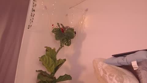 Kaia online show from January 9, 2026, 7:59 pm