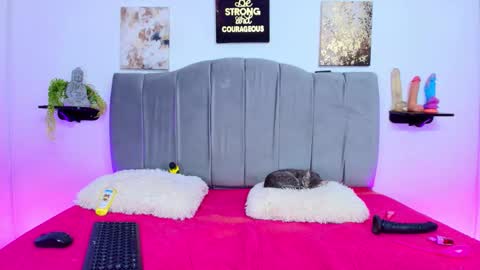 Snapshot of im_riley_ chatting on October 8, 2025, 7:33 pm im_riley_ online show from October 8, 2025, 7:33 pm