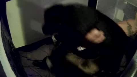 imtru online show from February 14, 2025, 4:04 am