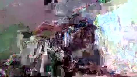 imurasian_fox online show from May 6, 2026, 11:26 am