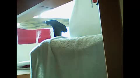 incontactwithmike online show from November 9, 2025, 11:19 am