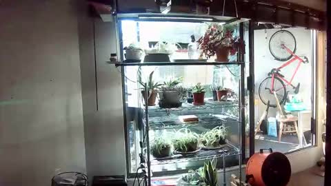 BroLOU online show from June 11, 2026, 2:53 am