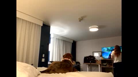 Snapshot of intothewoodswego chatting on November 27, 2025, 1:51 am IntoTheWoodsWeGo online show from November 27, 2025, 1:51 am