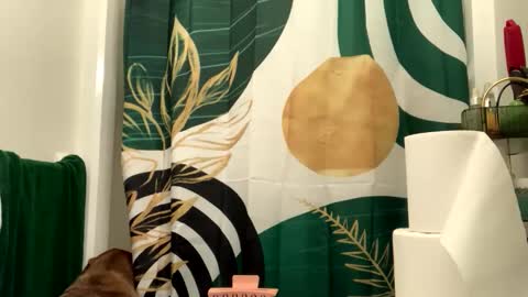 Snapshot of intothewoodswego chatting on April 3, 2026, 8:51 pm IntoTheWoodsWeGo online show from April 3, 2026, 8:51 pm