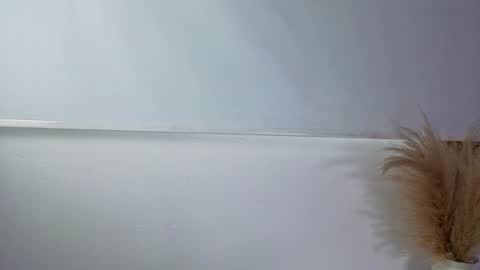 Snapshot of invincible200 chatting on October 1, 2025, 2:23 pm invincible200 online show from October 1, 2025, 2:23 pm