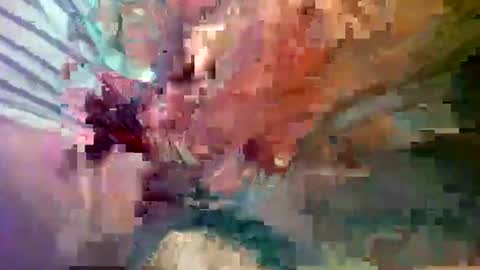 Snapshot of ipuck55 chatting on December 14, 2024, 8:18 pm ipuck55 online show from December 14, 2024, 8:18 pm