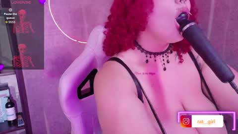 iriisfeitan online show from May 4, 2026, 3:35 am