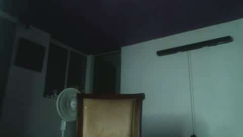 Snapshot of irisbell_ chatting on January 5, 2025, 2:49 am Camilla online show from January 5, 2025, 2:49 am