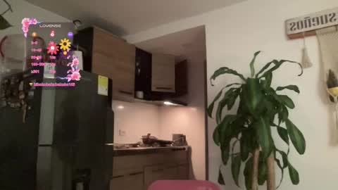 Isabella online show from February 3, 2026, 12:20 am