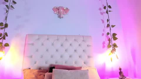   online show from November 5, 2025, 8:42 pm