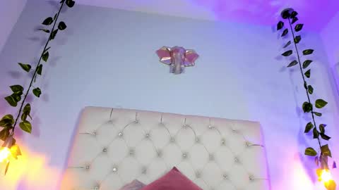   online show from November 21, 2025, 8:29 pm