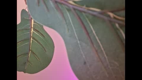 Snapshot of isabellacloverlove chatting on September 18, 2025, 4:58 am Isabella online show from September 18, 2025, 4:58 am