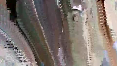 islandbey242 online show from June 2, 2026, 3:14 pm