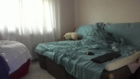 Snapshot of issabelle_69 chatting on October 20, 2025, 5:08 am Issabelle online show from October 20, 2025, 5:08 am