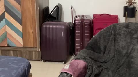 Snapshot of itsmylife021 chatting on October 4, 2025, 12:03 pm Raje online show from October 4, 2025, 12:03 pm