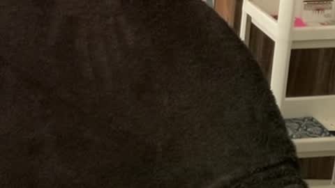 Snapshot of itsmylife021 chatting on October 22, 2025, 3:40 am Raje online show from October 22, 2025, 3:40 am