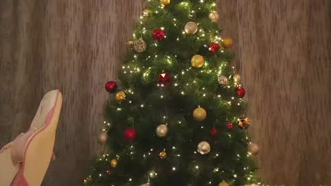 Ivy online show from December 27, 2024, 6:24 am