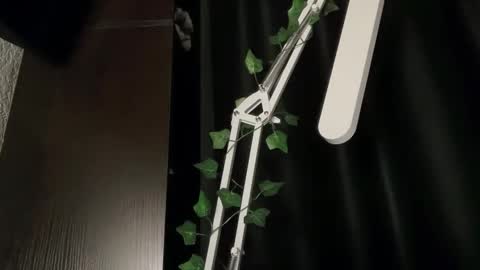 ivyvibe online show from February 8, 2026, 3:37 pm