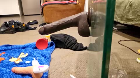 Snapshot of j220231 chatting on December 4, 2025, 12:25 pm j220231 online show from December 4, 2025, 12:25 pm