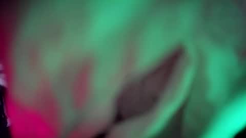 j254034 online show from February 8, 2026, 2:04 am