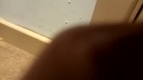 j434934 online show from January 5, 2026, 7:28 pm