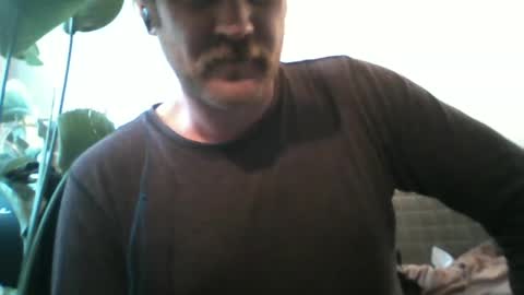 TR88 online show from February 15, 2025, 2:55 pm
